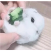 É o Yuri Denovo//Fofinhos💜 11