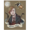 PLATE
RK:
REMUS LUPIN