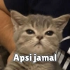 Empus nakal 25