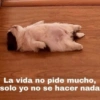 La vida no pide mucho,
solo yo no se hacer nada