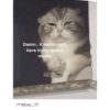 Memes memes 26