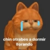 chin otrabes a dormir
llorando
