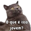 Memes Variados (Pack 2) 16