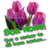 Boa Noite 13 12