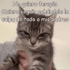 Memes en tendencia 01 ✨🔥 19