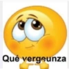 Qué vergeunza
