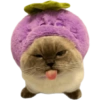 Gatitos 15
