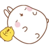 Molang y Piu Piu🧡 5