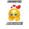 MIDNIGHT*
APAIXONEI