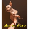 aka re duro