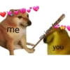 MEME LOVE 💕 15