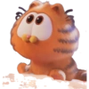 Gatitos 19