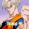 224 Ta mal