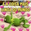 É A COISA MAIS
LINDA DO MUNDO
~