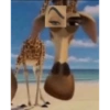 و