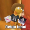 OPME Pichula kenini