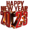 HAPPY NEW YEAR 12