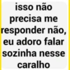 isso não precisa me responder não, eu adoro falar sozinha nesse caralho