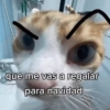 que me vas a regalar para navidad