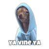 YA VINE YA