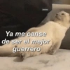 parenta
Ya me canse
de ser el mejor
guerrero