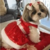 Animalitos Navideños 6