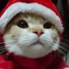 Animalitos Navideños 16