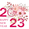 2 HAPPY NEW YEAR 23