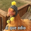 ai que ódio