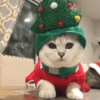 Animalitos Navideños 9
