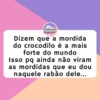SarradasChiques 10 10