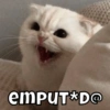 emput*D@