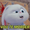 VOU TE MORDER