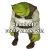 deludente come la mia vita