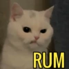 RUM