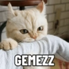 GEMEZZ