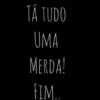 TÁ TUDO UMA MERDA! FIM..