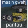 masih gwehj
pantau