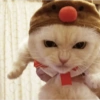 Animalitos Navideños 10