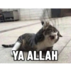 Drama Pertwiteran 2 5