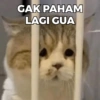 GAK PAHAM LAGI GUA