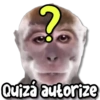 ? Quizá autorize