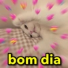 bom dia