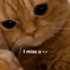 I miss u...