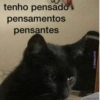 tenho pensado pensamentos pensantes AhNegao.com.br