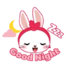 ZZZ Good Night