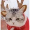 Animalitos Navideños 15