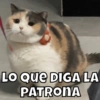 LO QUE DIGA LA PATRONA