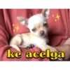 ke acelga
