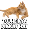 CATS 12
